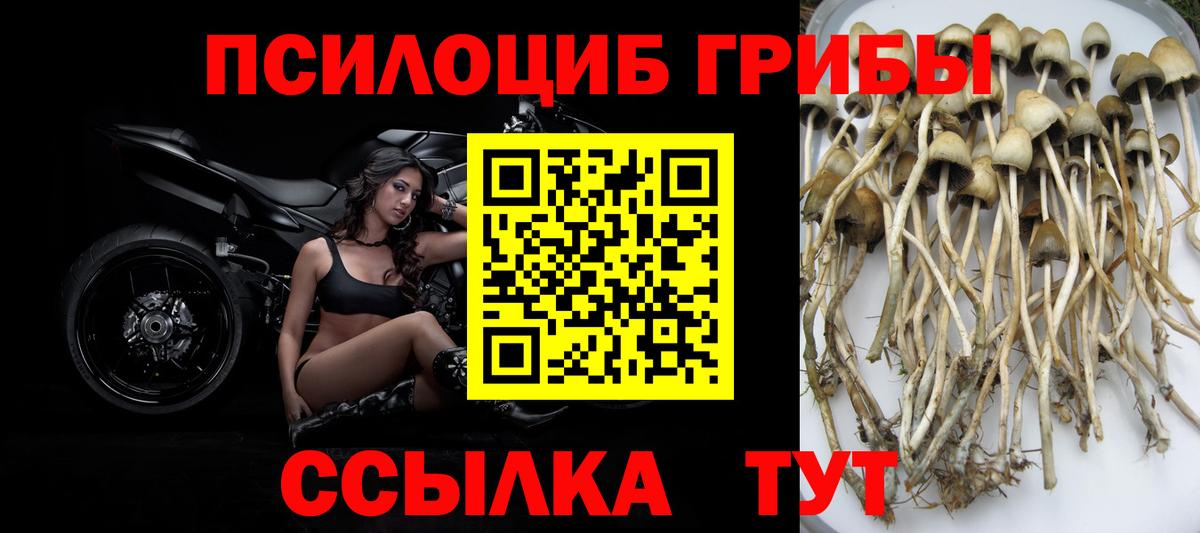 Ангарск  как найти наркотики  Вход с VPN  Галлюциногенные грибы мухоморы 