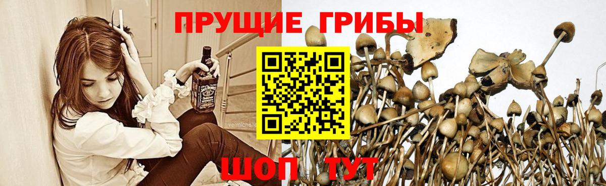 Галлюциногенные грибы MAGIC MUSHROOMS Ангарск